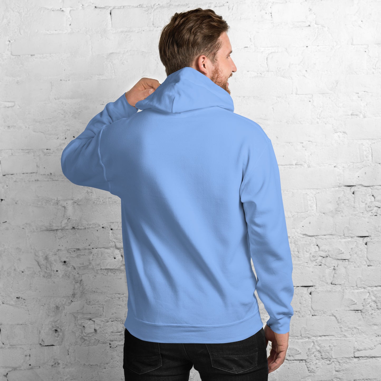 Muted Sky Embroidered Hoodie Blue