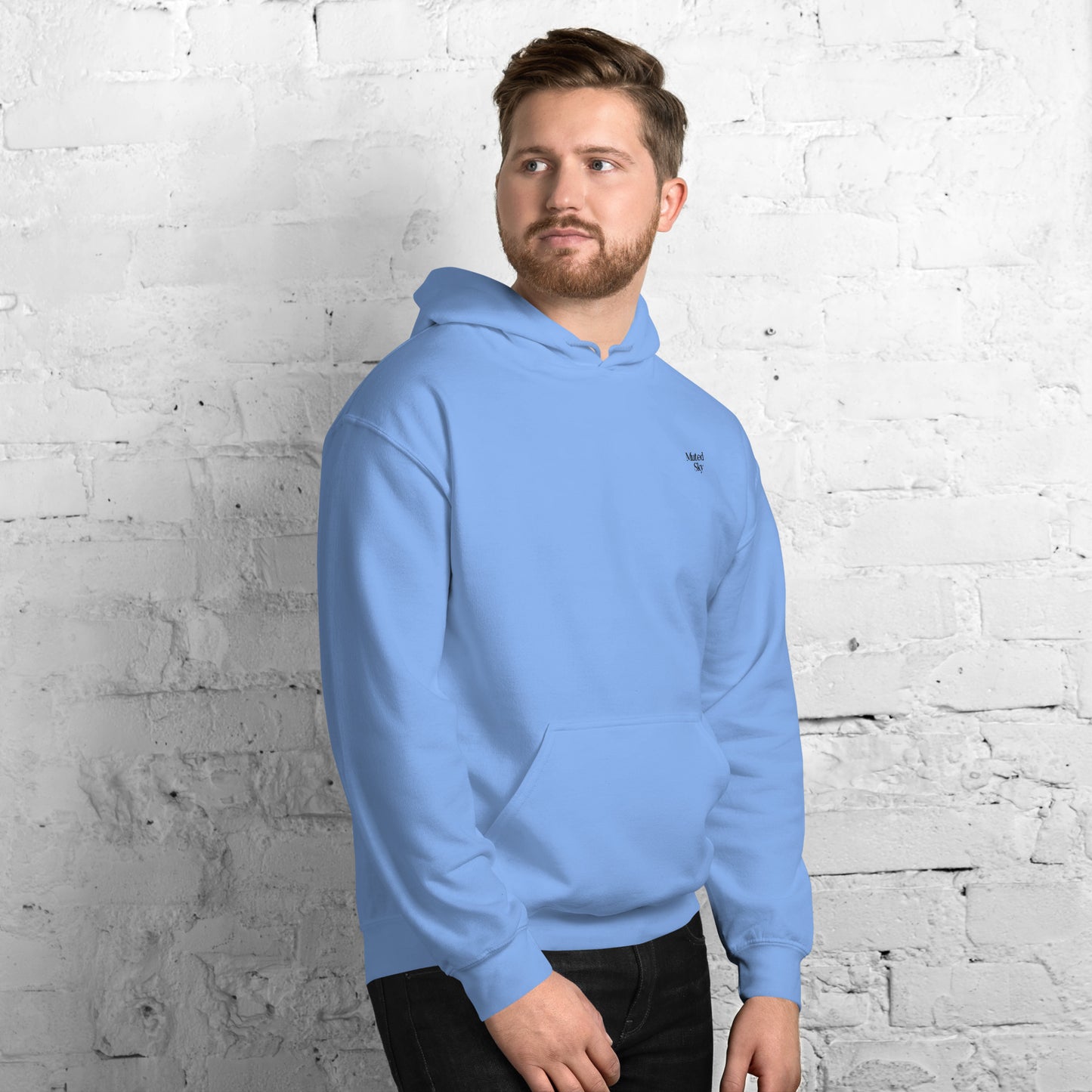 Muted Sky Embroidered Hoodie Blue